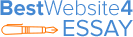 bestwebsite4essays logo